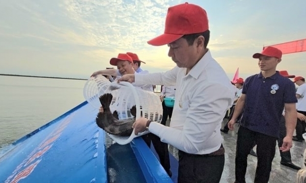 Vietnam and China are models of fishery cooperation